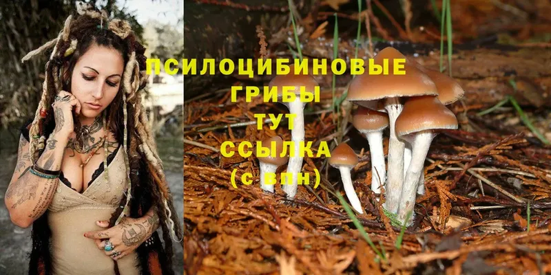 Псилоцибиновые грибы MAGIC MUSHROOMS  KRAKEN зеркало  Бугуруслан  где купить наркоту 